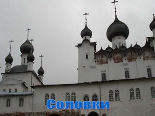Соловки 