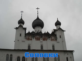 Соловки 