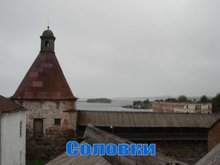 Соловки 