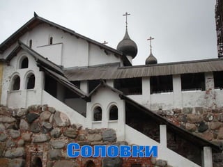 Соловки 