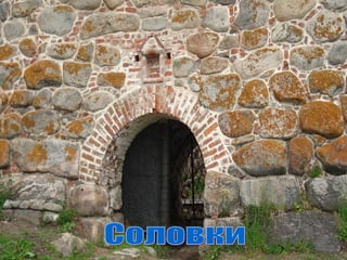 Соловки 