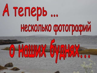 А теперь ... несколько фотографий о наших буднях... 