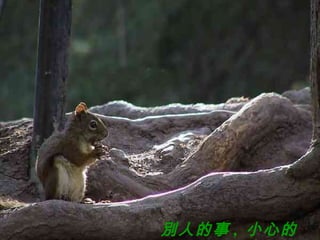 別人的事 ,  小心的說 