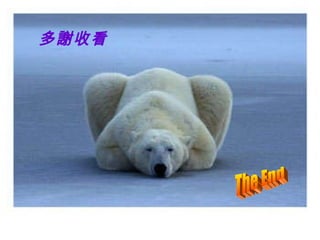 多謝收看 The End 