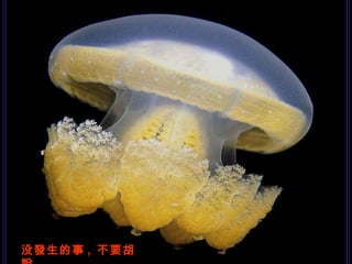 没發生的事 ,  不要胡說 