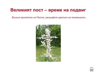 Великият пост – време на подвиг ,[object Object]