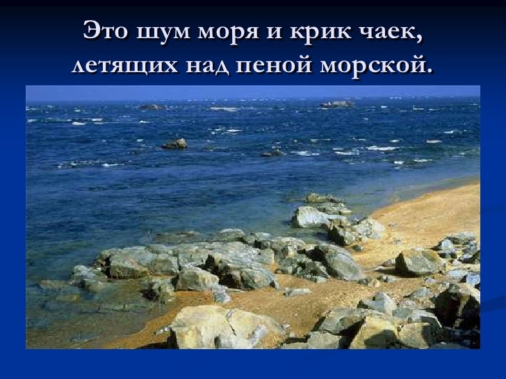 ШУМ МОРЯ КРИКИ ЧАЕК MP3 СКАЧАТЬ БЕСПЛАТНО ШУМ МОРЯ КРИКИ ЧАЕК MP3 СКАЧАТЬ БЕСПЛАТНО