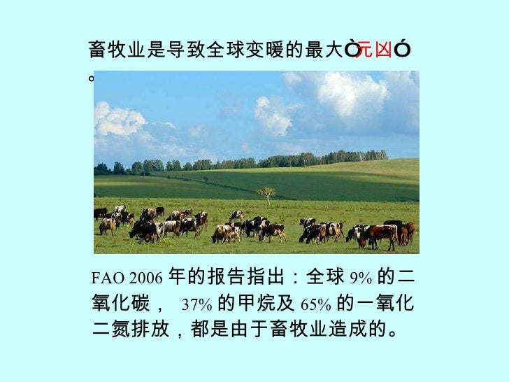 感激月亮而忘了太阳 1