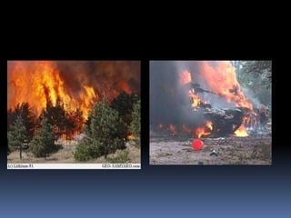 ნათია მაჭარაშვილი