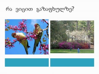 რა  ვიცით  გაზაფხულზე?