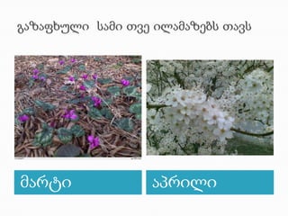 გაზაფხული  სამი თვე ილამაზებს თავსმარტიაპრილი