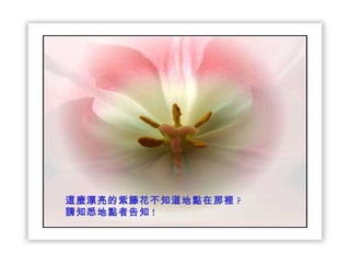 這麼漂亮的紫籐花不知道地點在那裡 ? 請知悉地點者告知 ! 