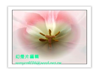 幻燈片 編輯 [email_address] 