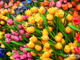 С днем св миколая чудотворця картинки