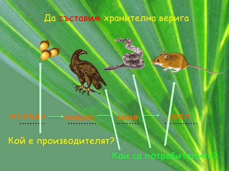 Кой кого изяжда
