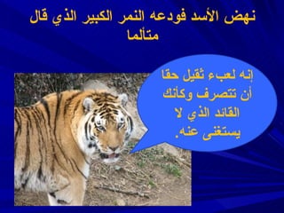 نهض الأسد فودعه النمر الكبير الذي قال متألما إنه لعبء ثقيل حقا أن تتصرف وكأنك القائد الذي لا يستغنى عنه . 