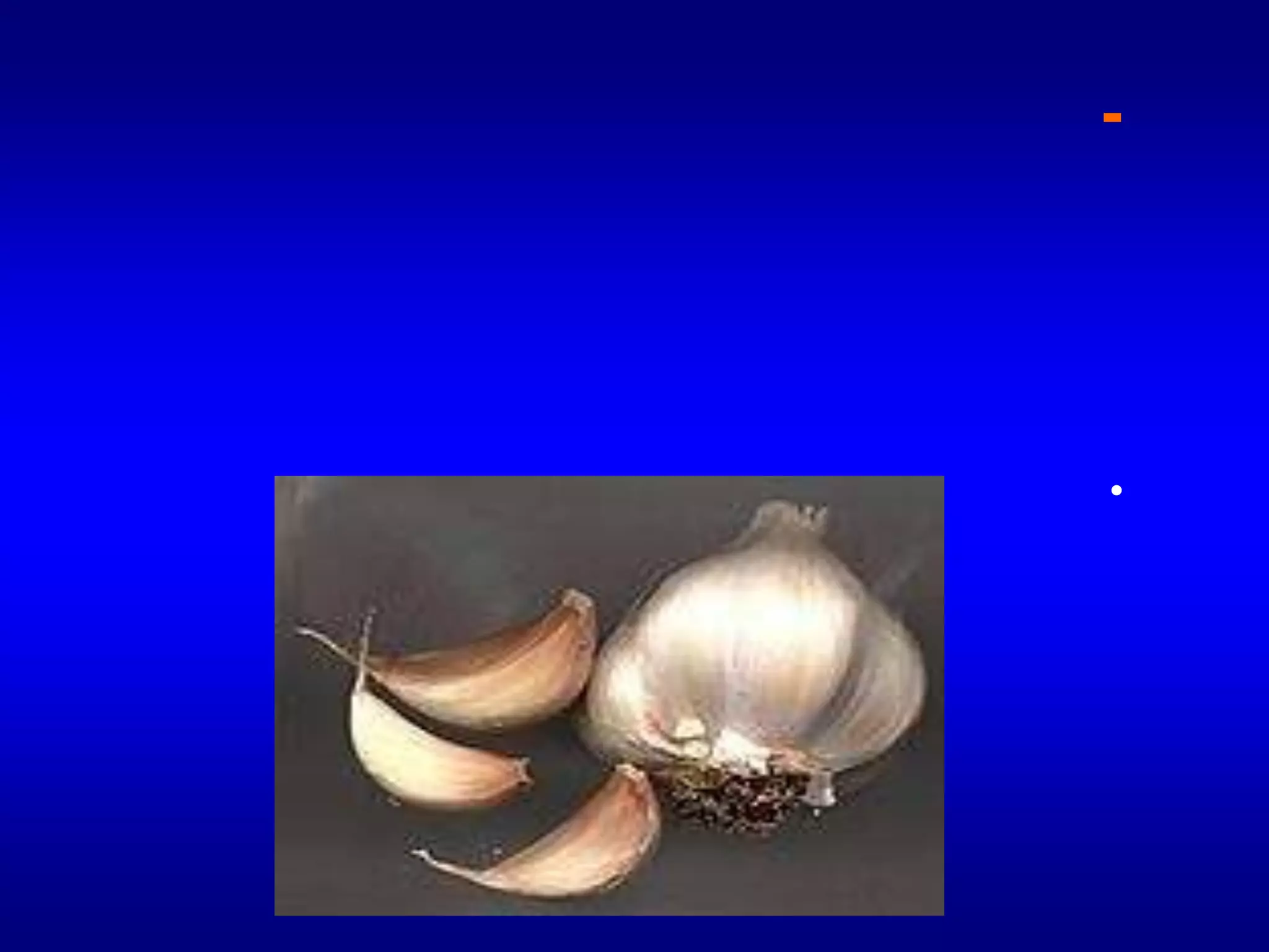 10-الفصـــــــــوصوهي عبارة عن براعم أبطية تخرج علي ساق قرصية أي أن أوراق هذه البراعم تحولت إلي أوراق لحمية ومغلفة بأوراق حرشفية ويمكن فصلها وزراعتها كما في الثوم.