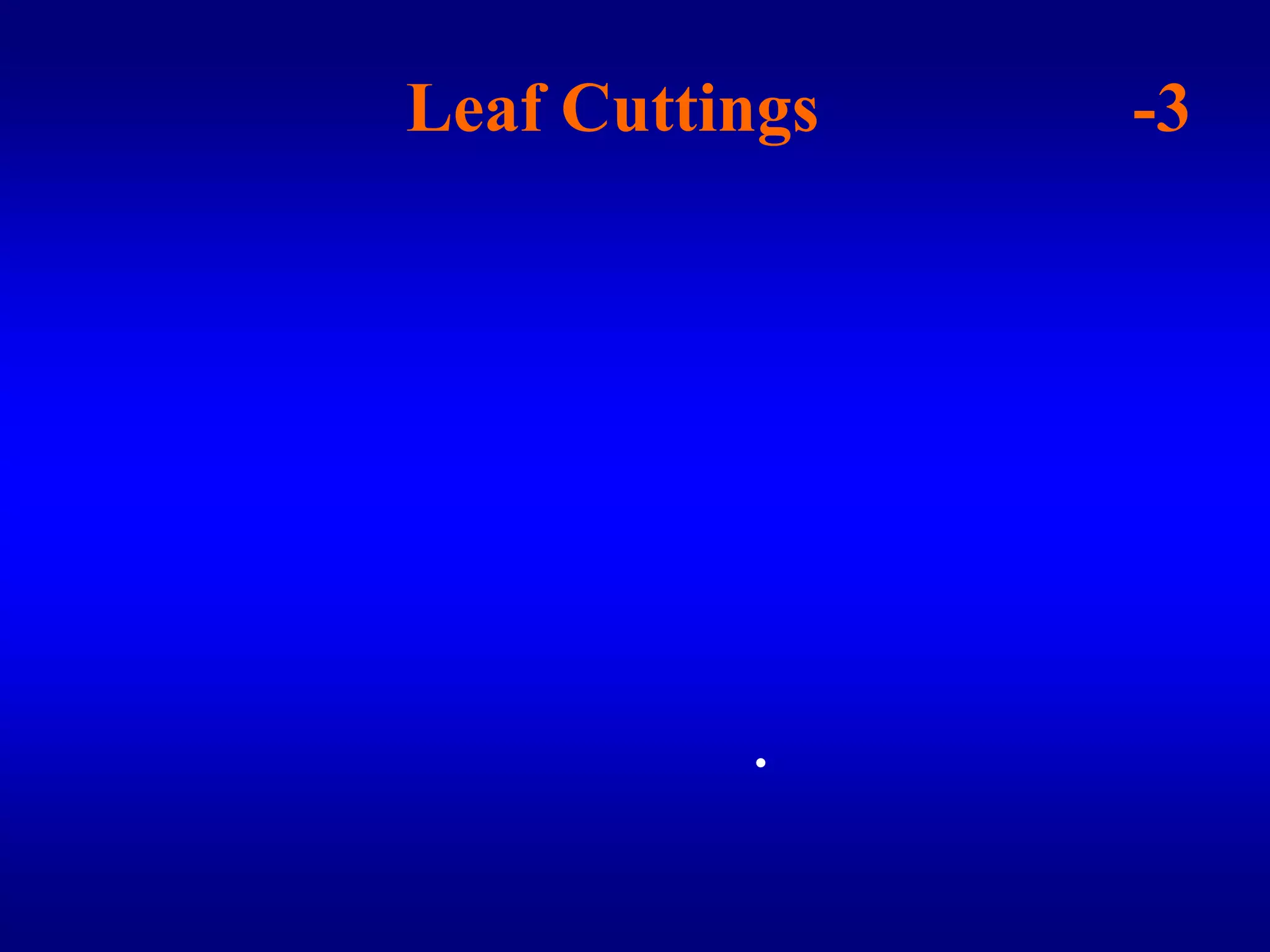 -3 العقل الورقية Leaf Cuttingsيمكن لأوارق بعض النباتات إنتاج نباتات متكاملة إذا زرعت تحت ظروف خاصة من العناية . وتستطيع هذه النباتات تكوين براعم عرضية علي السطح العلوي للورقة ، وجذور عرضية علي السطح السفلي لها . وقبل زراعة الورقة تقطع في مواضع كثيرة فينتج نبات جديد عند كل جرح كما في نبات البيجوينا . أو تقسم الورقة إلي أجزاء كما في نباتات الودنة وجلد النمر وأحيانا يكفي غرس عنق الورقة في التربة مثل العقلة العادية كما في نباتات الهابرلا والراموندا.