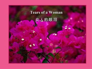 Tears of a Woman 女人的眼泪 