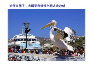 油價又漲了，老闆要我犧牲色相才肯放飯 