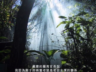 嚴肅的羅馬官長說 我認為剛才的兩隻老鼠是君臣主僕的關係 