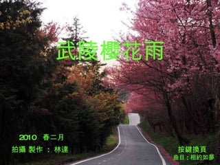 武陵櫻花雨 2010  春二月 拍攝 製作  :  林達 按鍵換頁 曲目 : 相約如夢 