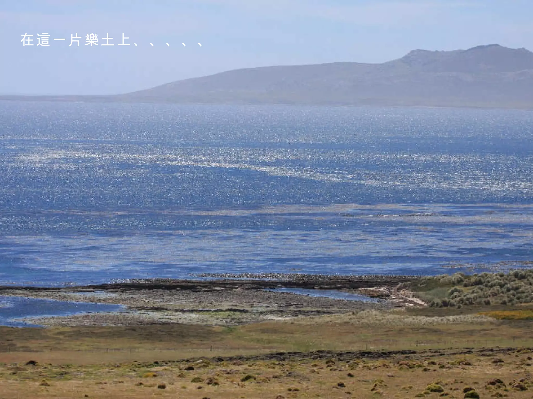 在這一片樂土上、、、、、 