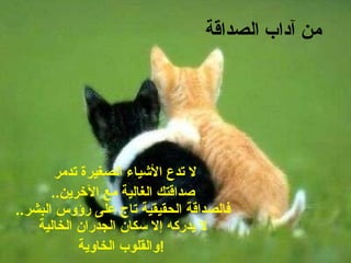 من آداب الصداقة لا تدع الأشياء الصغيرة تدمر  صداقتك الغالية مع الآخرين .. فالصداقة الحقيقية تاج على رؤوس البشر .. لا يدركه إلا سكان الجدران الخالية والقلوب الخاوية !   