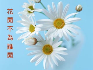 花開不為誰開 花 開 不 為 誰 開 