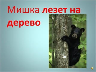 Мишка  лезет на дерево 