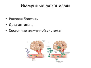 Иммунные механизмыРаковая болезньДоза антигенаСостояние иммунной системы