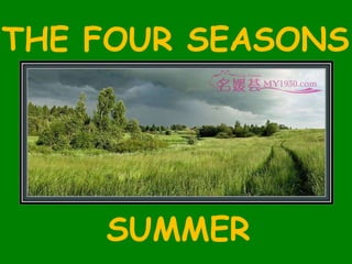THE FOUR SEASONS SUMMER 