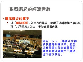 歐盟崛起的經濟意義 區域統合的範本   以「 輔助原則 」為合作的模式：歐盟的組織機構不得以執行「共同政策」為由，干涉會員國內政  照片  7-3  議會正在審核軟體專利權法案。 歐盟 法案需經由代表會員國的議員在 歐洲議會 中三讀通過才得以執行。 