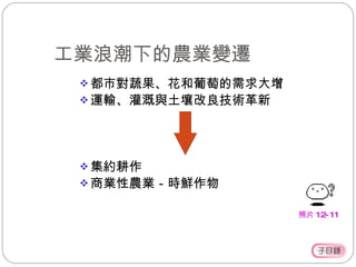工業浪潮下的農業變遷 都市對蔬果、花和葡萄的需求大增 運輸、灌溉與土壤改良技術革新 集約耕作 商業性農業－時鮮作物 照片 12-11 