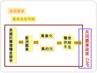 農業發展問題 歐盟農業 美國的廉價糧食競爭 歐洲農業 專業化 集約化 糧食供給不足 共同農業政策  CAP  