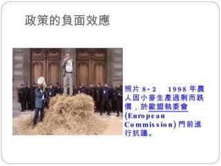 政策的負面效應  照片 8-2  1998 年農人因小麥生產過剩而跌價，於 歐盟執委會 (European Commission) 門前進行抗議。 