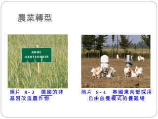 農業轉型 照片  8-3  德國 的非基因改造農作物  照片  8-4  英國 東南部採用 自由放養模式的養雞場 