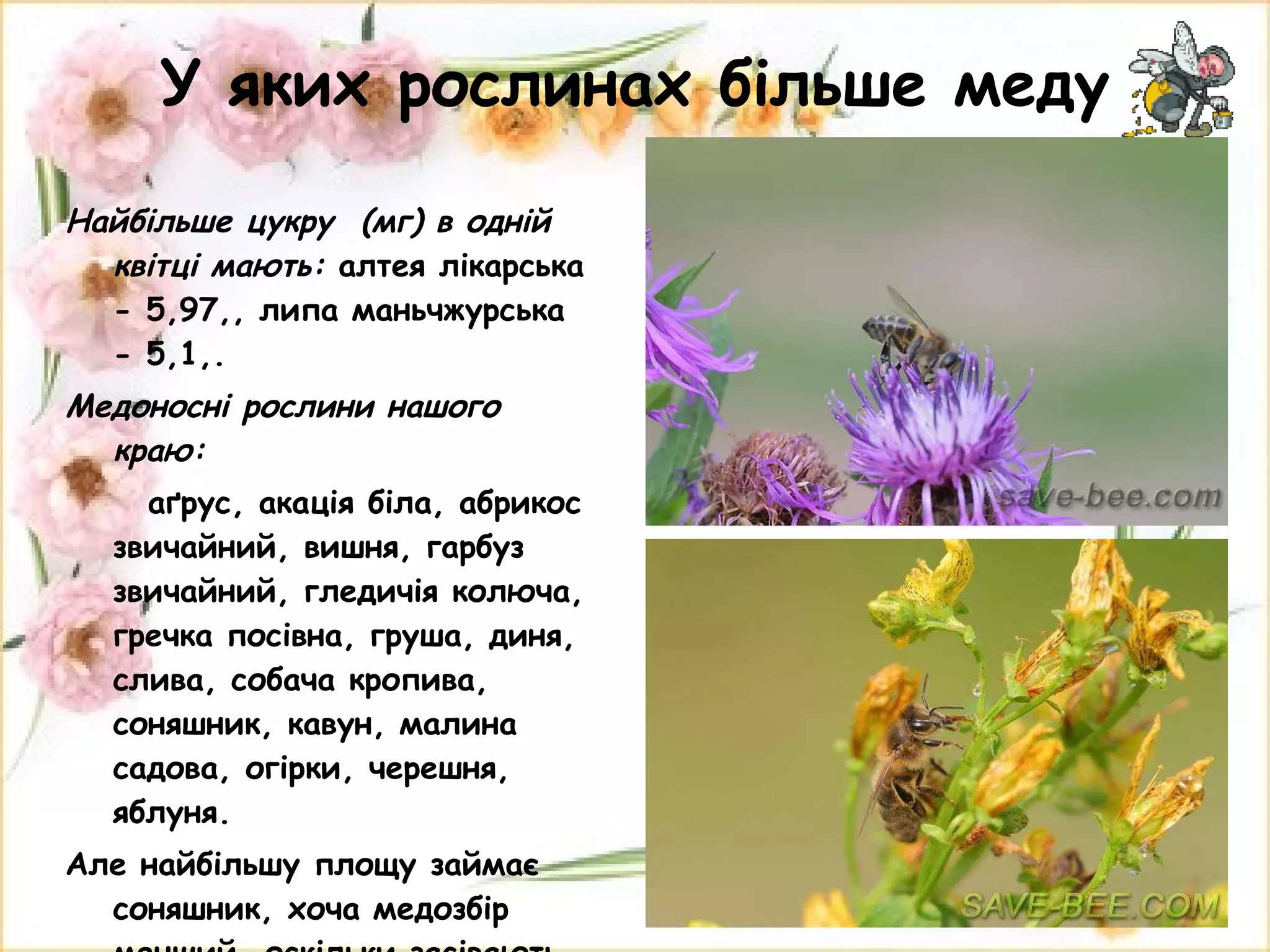 У яких рослинах більше меду Найбільше цукру  (мг) в одній квітці мають:  алтея лікарська  - 5,97,, липа маньчжурська  - 5,1,. Медоносні рослини нашого краю: аґрус, акація біла, абрикос звичайний, вишня, гарбуз звичайний, гледичія колюча, гречка посівна, груша, диня, слива, собача кропива, соняшник, кавун, малина садова, огірки, черешня, яблуня.  Але найбільшу площу займає соняшник, хоча медозбір менший, оскільки засівають гібридні сорти цієї рослини 