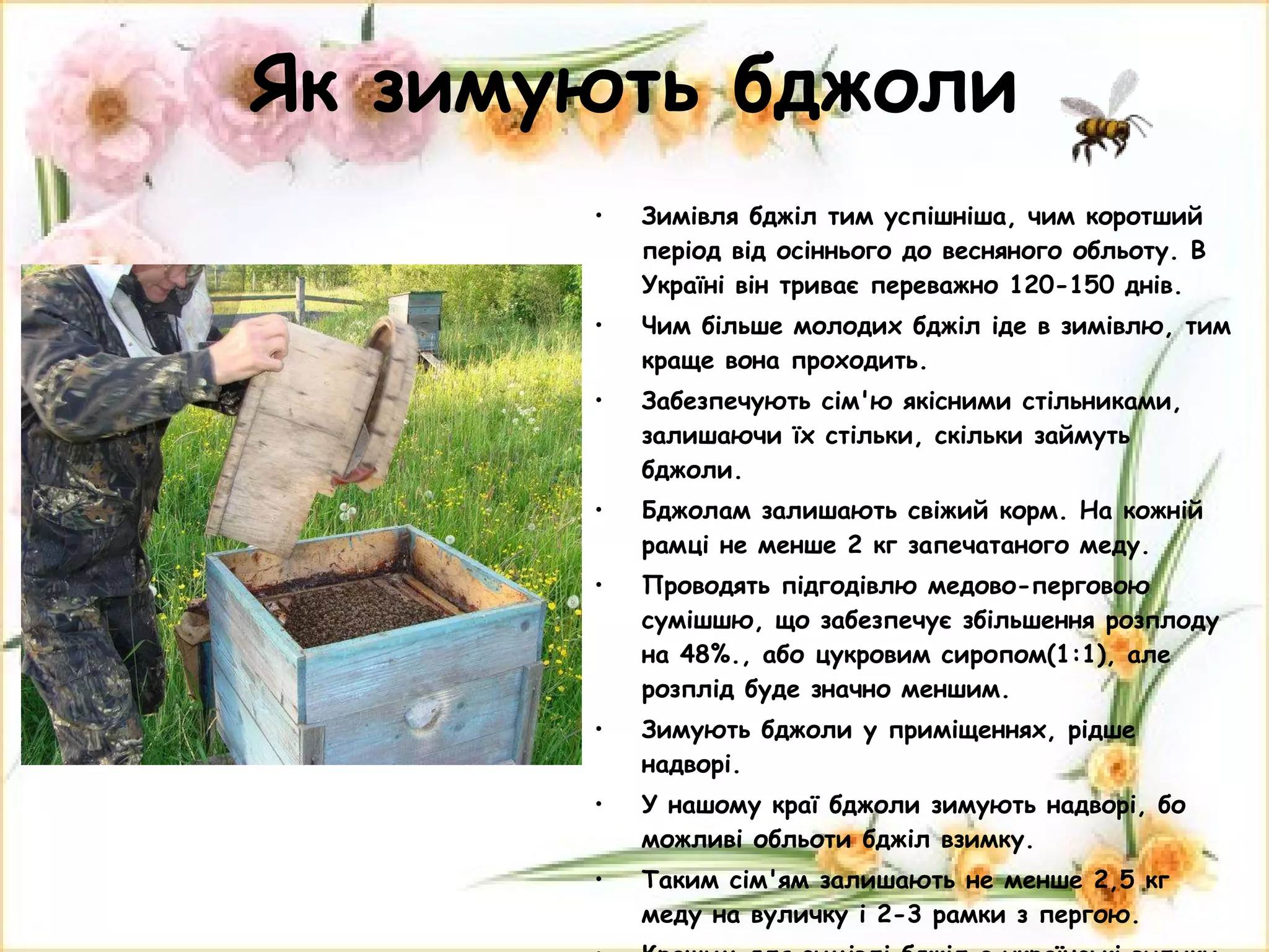 Як зимують бджоли Зимівля бджіл тим успішніша, чим коротший період від осіннього до весняного обльоту. В Україні він триває переважно 120-150 днів. Чим більше молодих бджіл іде в зимівлю, тим краще вона проходить. Забезпечують сім'ю якісними стільниками, залишаючи їх стільки, скільки займуть бджоли. Бджолам залишають свіжий корм. На кожній рамці не менше 2 кг запечатаного меду.  Проводять підгодівлю медово-перговою сумішшю, що забезпечує збільшення розплоду на 48%., або цукровим сиропом(1:1), але розплід буде значно меншим. Зимують бджоли у приміщеннях, рідше надворі. У нашому краї бджоли зимують надворі, бо можливі обльоти бджіл взимку. Таким сім'ям залишають не менше 2,5 кг меду на вуличку і 2-3 рамки з пергою. Кращим для зимівлі бджіл є українські вулики на вузьковисоку рамку з подвійними передньою і задньою стінками.  