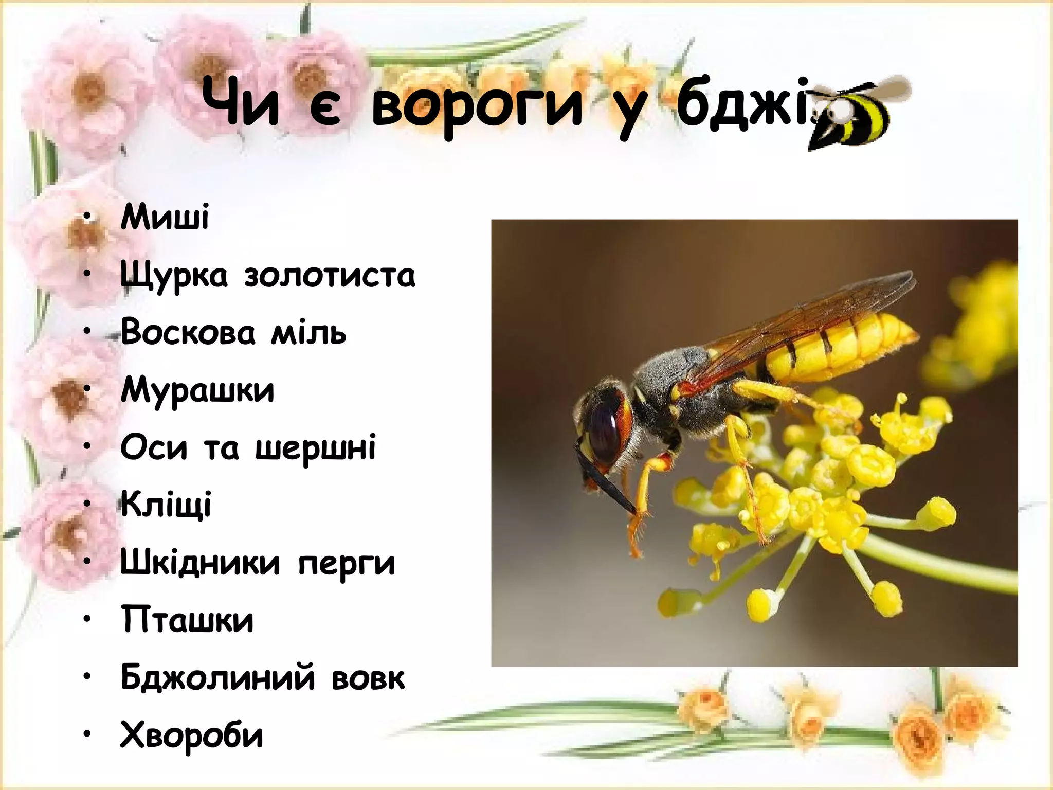 Чи є вороги у бджіл Миші Щурка золотиста Воскова міль Мурашки Оси та шершні Кліщі Шкідники перги Пташки  Бджолиний вовк Хвороби  