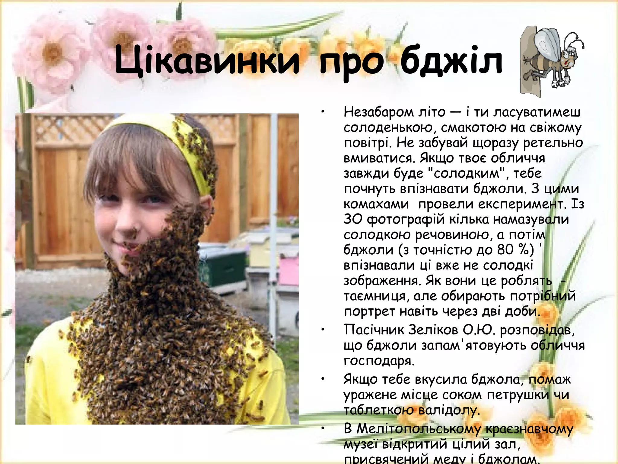 Цікавинки про бджіл Незабаром літо — і ти ласуватимеш  солоденькою, смакотою на свіжому повітрі. Не забувай щоразу ретельно вмиватися. Якщо твоє обличчя завжди буде "солодким", тебе почнуть впізнавати бджоли. З цими комахами  провели експеримент. Із ЗО фотографій кілька намазували солодкою речовиною, а потім бджоли (з точністю до 80 %) ' впізнавали ці вже не солодкі зображення. Як вони це роблять  - таємниця, але обирають потрібний портрет навіть через дві доби. Пасічник Зеліков О.Ю. розповідав, що бджоли запам'ятовують обличчя господаря.  Якщо тебе вкусила бджола, помаж уражене місце соком петрушки чи таблеткою валідолу. В Мелітопольському краєзнавчому музеї відкритий цілий зал, присвячений меду і бджолам. 