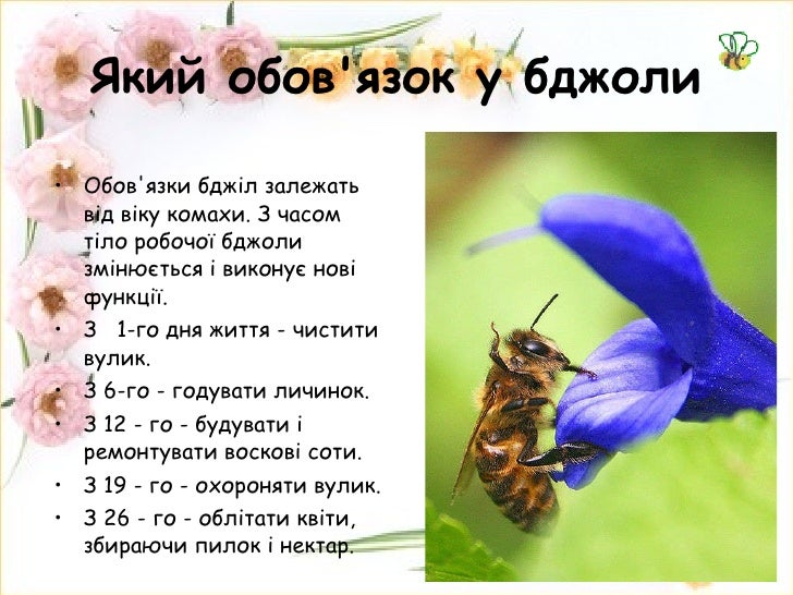 ÑÑÐ½ÑÐ²ÑÑÐºÐ° Ð¿ÑÐµÐ·ÐµÐ½ÑÐ°ÑÑÑ "ÐÐ¶Ð¼ÑÐ»Ñ ÑÐ° Ð±Ð´Ð¶ÑÐ»ÐºÐ°"