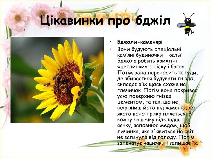 ÐÐ»Ð¾Ð³ Ð²Ð¸ÑÐ¾Ð²Ð°ÑÐµÐ»Ñ Ð³ÑÑÐ¿Ð¸ Ð¿ÑÐ¾Ð´Ð¾Ð²Ð¶ÐµÐ½Ð¾Ð³Ð¾ Ð´Ð½Ñ ÐÑÐ½Ð´ÑÑÑ Ð¢ÐµÑÑÐ½Ð¸: Ð¦ÑÐºÐ°Ð²Ð¸Ð½ÐºÐ¸ ...