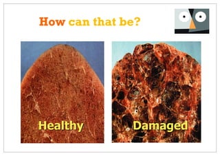 How can that be?




Healthy       Damaged
 