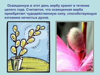 Освященную в этот день вербу хранят в течение целого года. Считается, что освященная верба приобретает чудодейственную силу, способствующую изгнанию нечистых духов. 