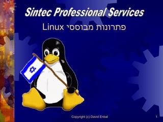 פתרונות מבוססי  Linux Sintec Professional Services 