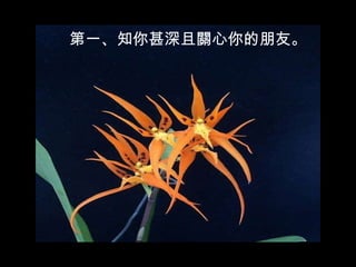 第一 、 知你甚深且關心你的朋友。 