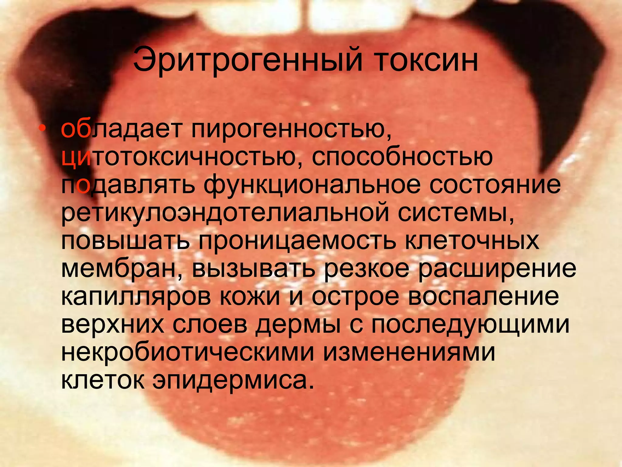 Эритрогенный токсин   об ладает пирогенностью,  ци тотоксичностью, способностью п о давлять функциональное состояние ретикулоэндотелиальной системы, повышать проницаемость клеточных мембран, вызывать резкое расширение капилляров кожи и острое воспаление верхних слоев дермы с последующими некробиотическими изменениями клеток эпидермиса.  