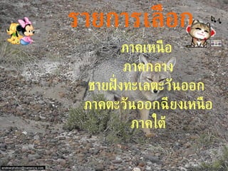 รายการเลือก ภาคเหนือ   ภาคกลาง   ชายฝั่งทะเลตะวันออก   ภาคตะวันออกฉียงเหนือ   ภาคใต้   