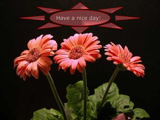 Have a nice day !   